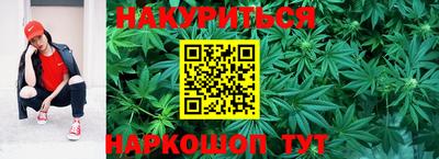 спайс Будённовск