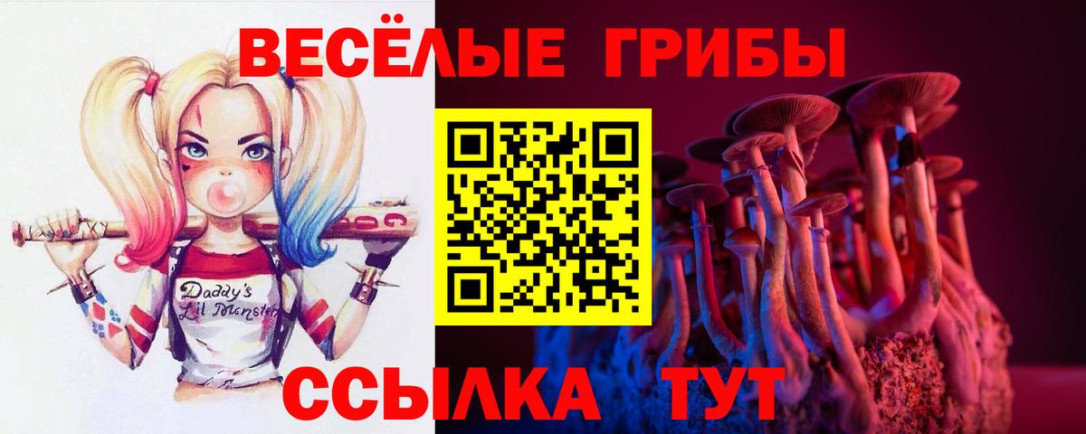 Норильск  Галлюциногенные грибы Cubensis  Вход с VPN 