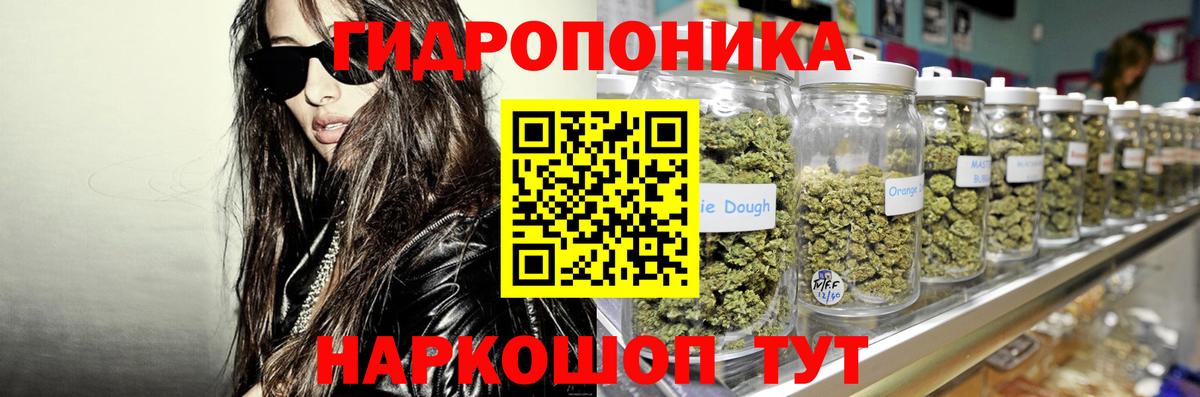 Конопля семена  Вход с VPN  Каннабис Bruce Banner  Марихуана план  Норильск 